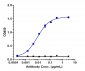 Anti-ERBB3 / HER3 Reference Antibody (barecetamab)